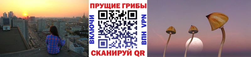 Галлюциногенные грибы Cubensis  Бронницы 